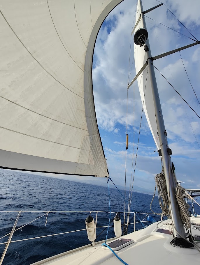 oplus_1048610 oplus_1048610